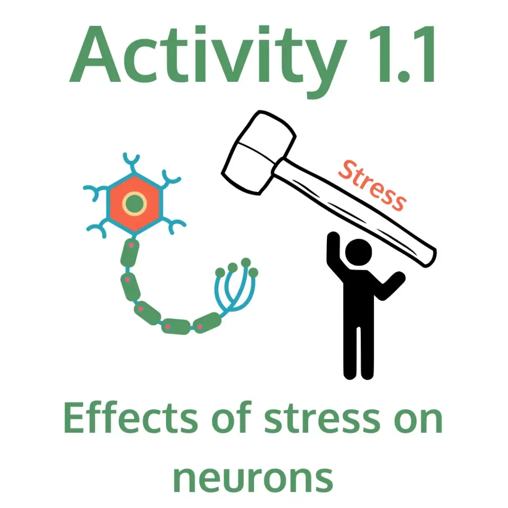 Text reads 'Activity 1.1' and 'Effects of stress on neurons.' The image shows a stylized neuron on the left and a stick figure on the right holding up its hands as a giant hammer labeled 'Stress' comes down toward it, symbolizing the impact of stress on neurons.