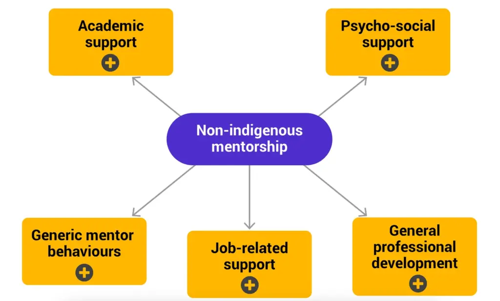 Diagram showing five types of support branching from 'Non-indigenous mentorship' in the center. Arrows point outward to five labeled yellow boxes: 'Academic support', 'Psycho-social support', 'Generic mentor behaviours', 'Job-related support', and 'General professional development'. Each yellow box contains a plus symbol below the text.