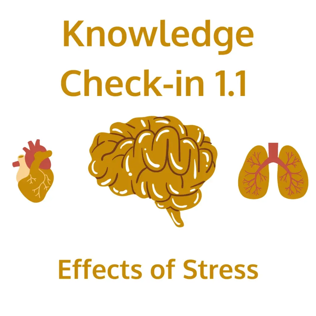 Text reads 'Knowledge Check-in 1.1' and 'Effects of Stress.' Below the text are illustrations of a heart on the left, a brain in the center, and lungs on the right, representing organs affected by stress.