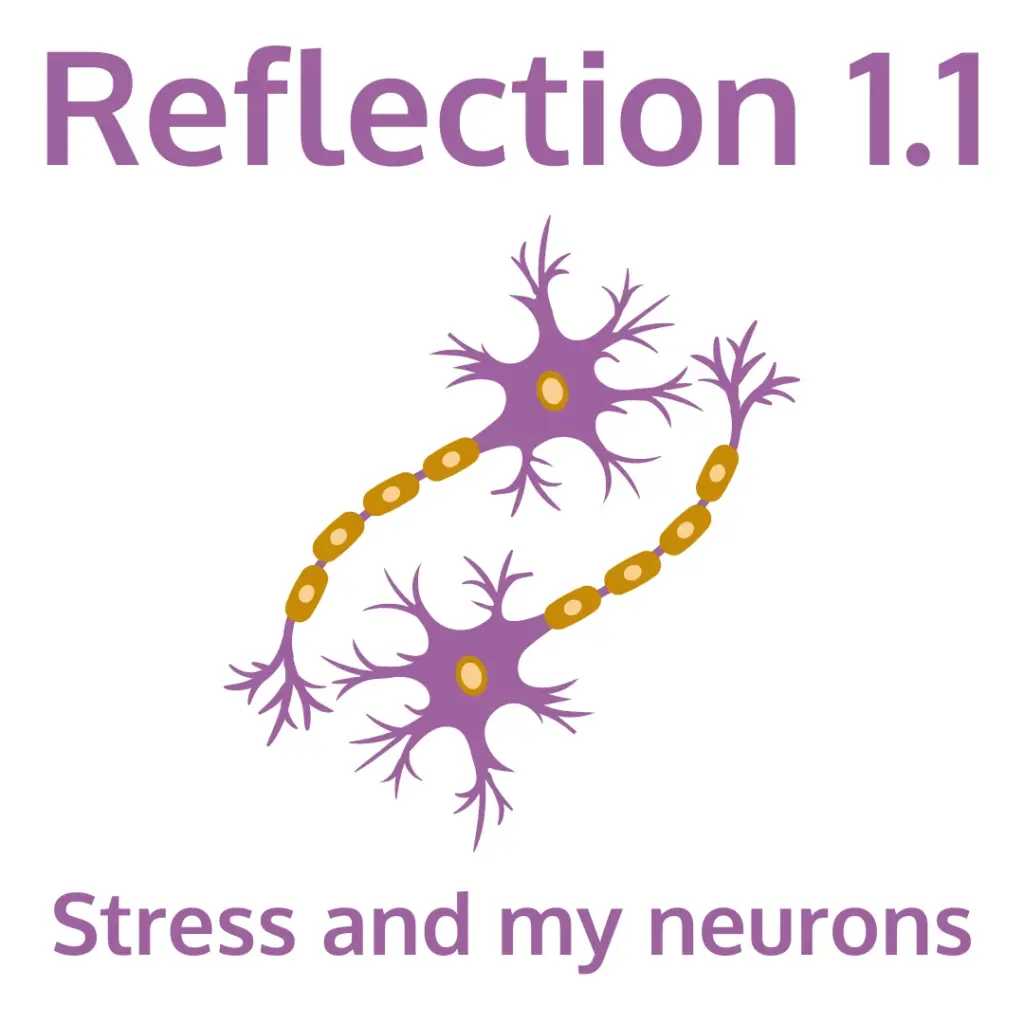 Text reads 'Reflection 1.1' at the top and 'Stress and my neurons' at the bottom. In the center are two stylized purple neurons with yellow axons, symbolizing a personal reflection on how stress affects the brain.